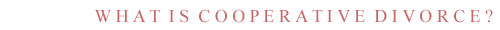 WHAT IS COOPERATIVE DIVORCE?