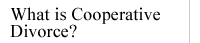 What Is Cooperative Divorce?